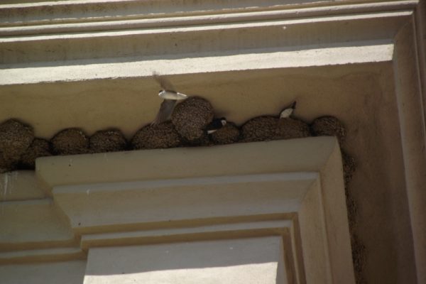 N-R    La Vila, un alfabet amb la clau al pany