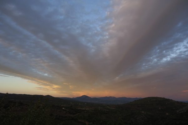 Símptomes de tardor. Cinc ‘tomes’ de tardor (Homofonies 1)