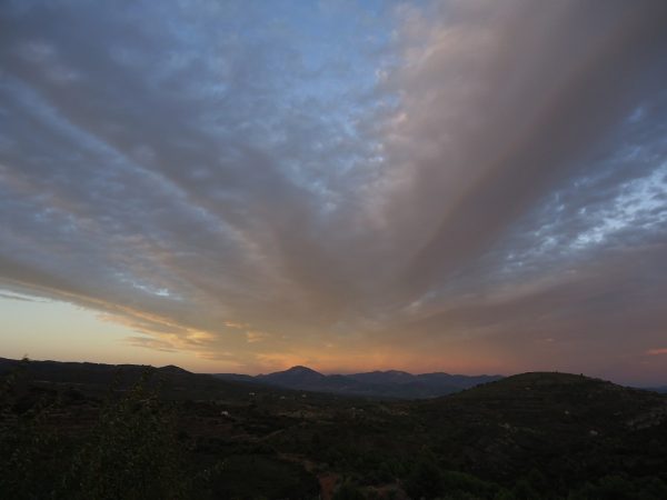 Símptomes de tardor. Cinc ‘tomes’ de tardor (Homofonies 1)