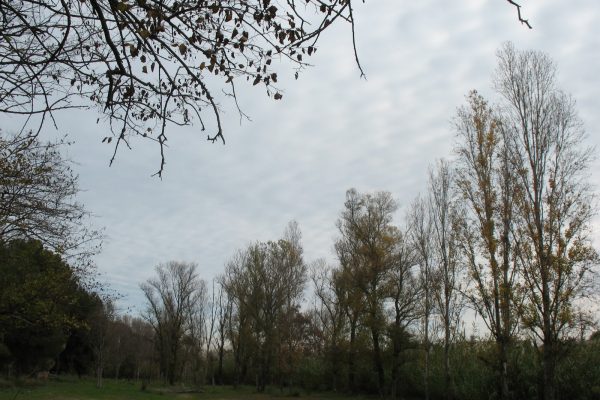 CAMINS D’AIGUA (1). EL MILLARS TAMBÉ RIU