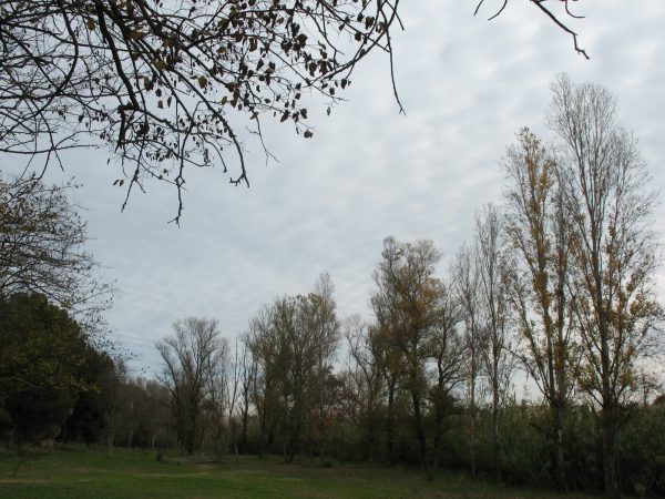 CAMINS D’AIGUA (1). EL MILLARS TAMBÉ RIU