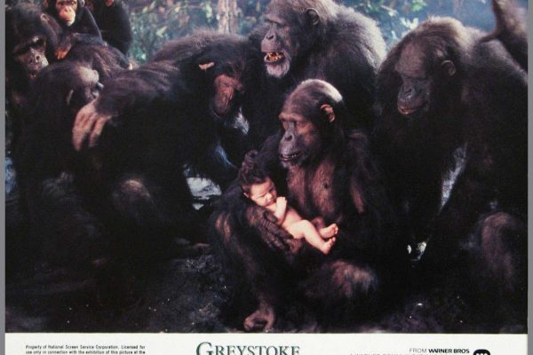 GREYSTOKE, LA LLEGENDA DE TARZAN