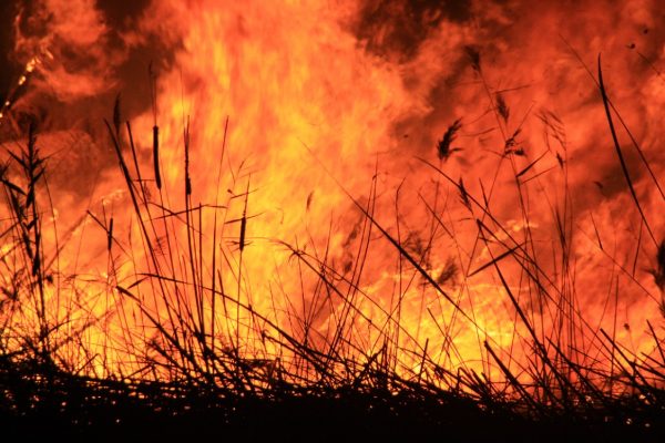 FOC A LES GOLES! (Almassora) Dictat de la Natura?