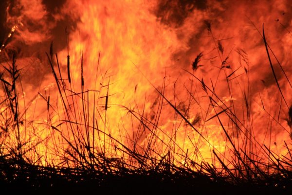 FOC A LES GOLES! (Almassora) Dictat de la Natura?