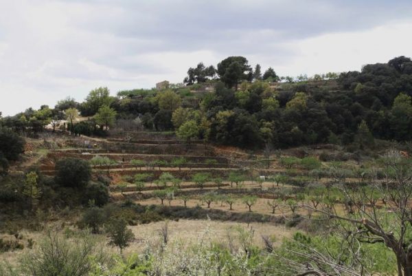 EIXUGAR ELS BANCALS I GUARDAR-NE L’AIGUA