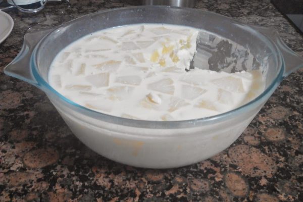 GELATINA DE PINYA. Sebastián Ramírez