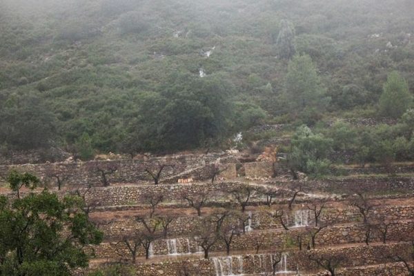 L’ULLAL DE LA CREBADA i altres dictats de la natura