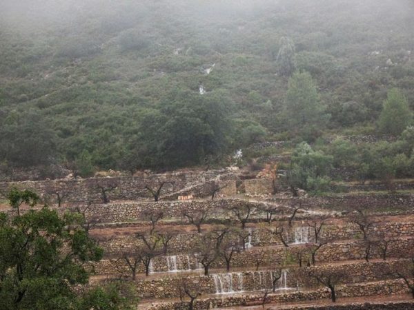 L’ULLAL DE LA CREBADA i altres dictats de la natura