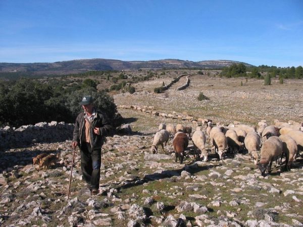 D’ASSEGADORS I TALLAFOCS