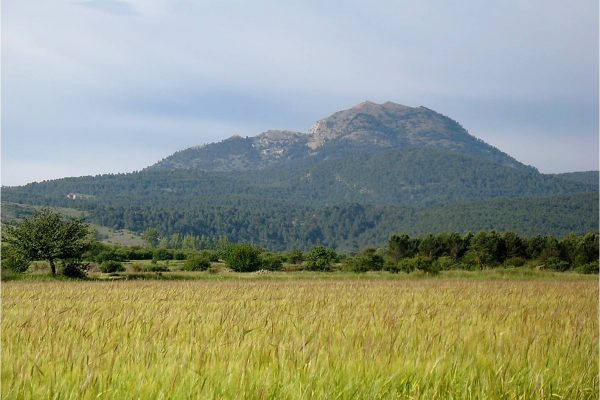 LA SEGA, UN DICTAT DE LA NATURA