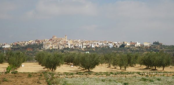 EL OLIVO. Sobre el film i la llengua