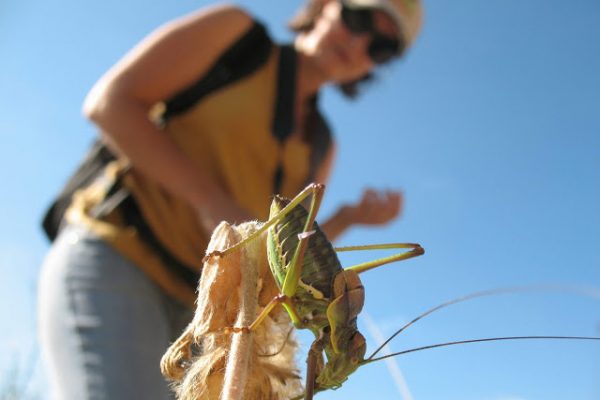 FOTÒGRAFS FOTOGRAFIATS PER LA NATURA……….  A Ximo Garcia