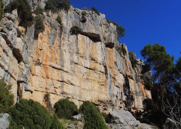 COVA DELS ARAGONESOS (ATZENETA)