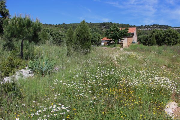 El rebrot de la natura. Jocs florals