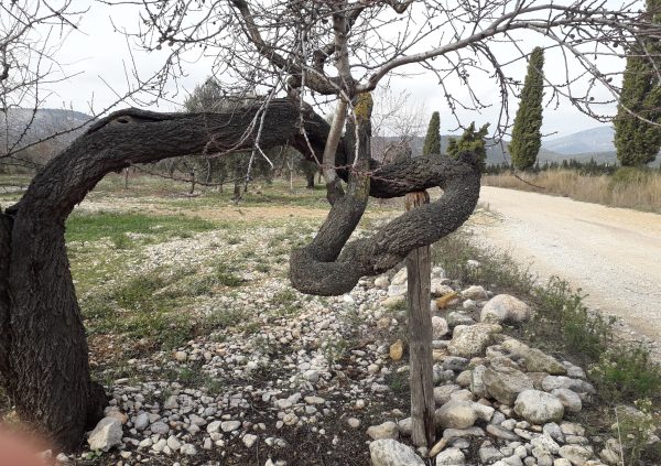 Puntal, crossa, estaló, pitja i forqueta