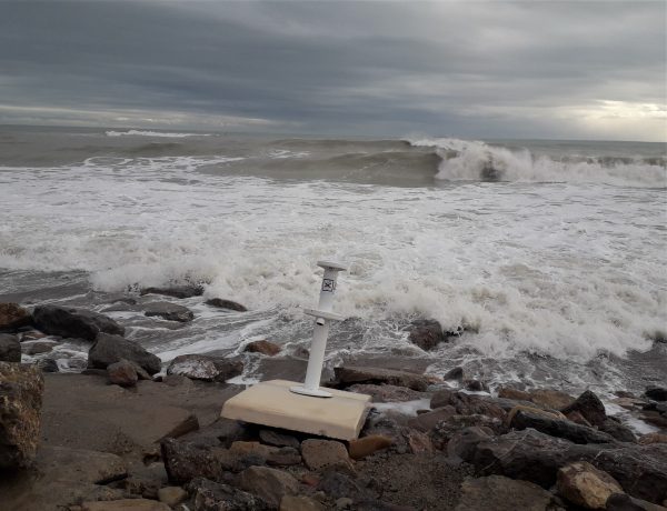 INACCIÓ I ADMINISTRACIÓ. La mar que tenia marges (16)