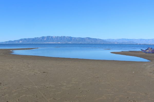 EL MAL DEL DELTA, UN DELS NOSTRES MALS. La mar que tenia marges (17)