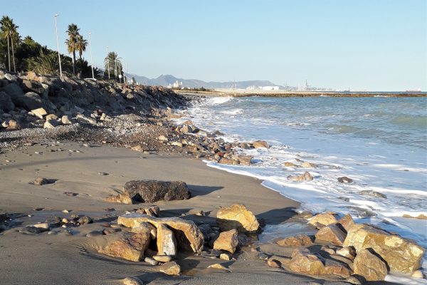 INACCIÓ I DESÍDIA. COSTES I LA COSTA. La mar que tenia marges-19