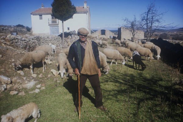 Ximo de la Solaneta, guarda del Pla