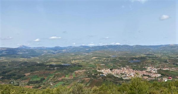 Atzeneta cooperativa. Ametles, olives i saviesa