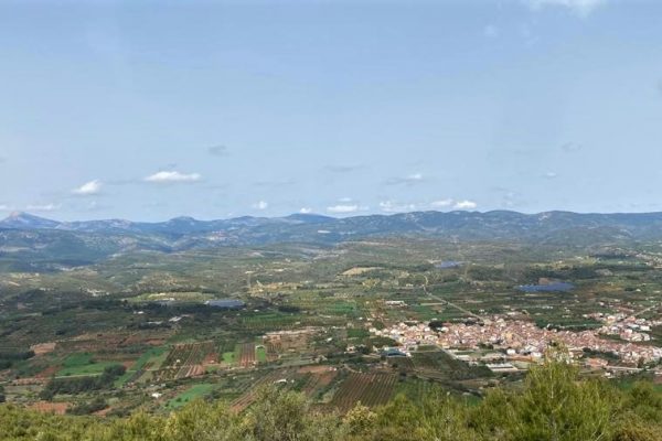 Atzeneta cooperativa. Ametles, olives i saviesa