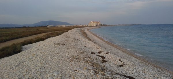 “Toponímia de la costa de restinga entre Alcanar i Almenara”