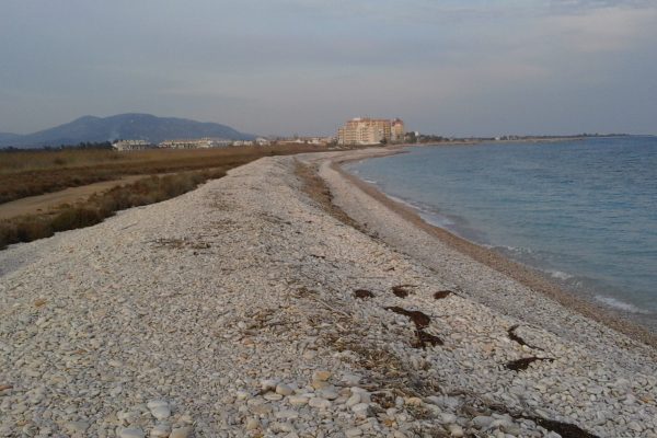 “Toponímia de la costa de restinga entre Alcanar i Almenara”